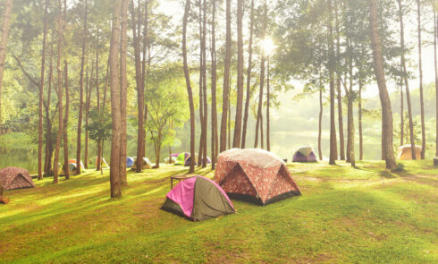 pole-namiotowe-w-pustkowiu