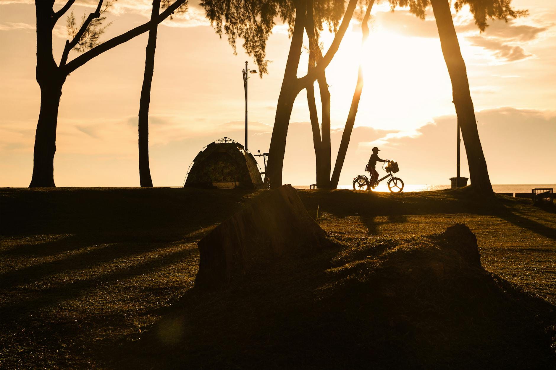 Rowerzysta jedzie o zachodzie słońca alejką w parku