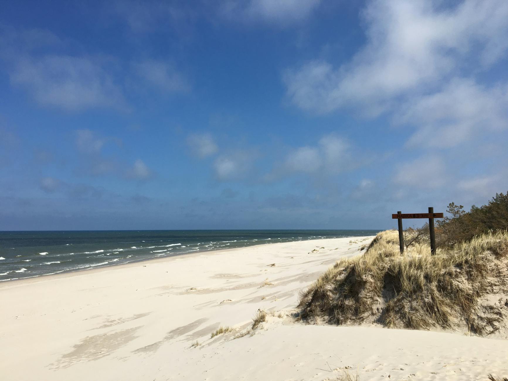 Szeroka, pusta plaża przy wydmach w Łebie pod błękitnym niebem