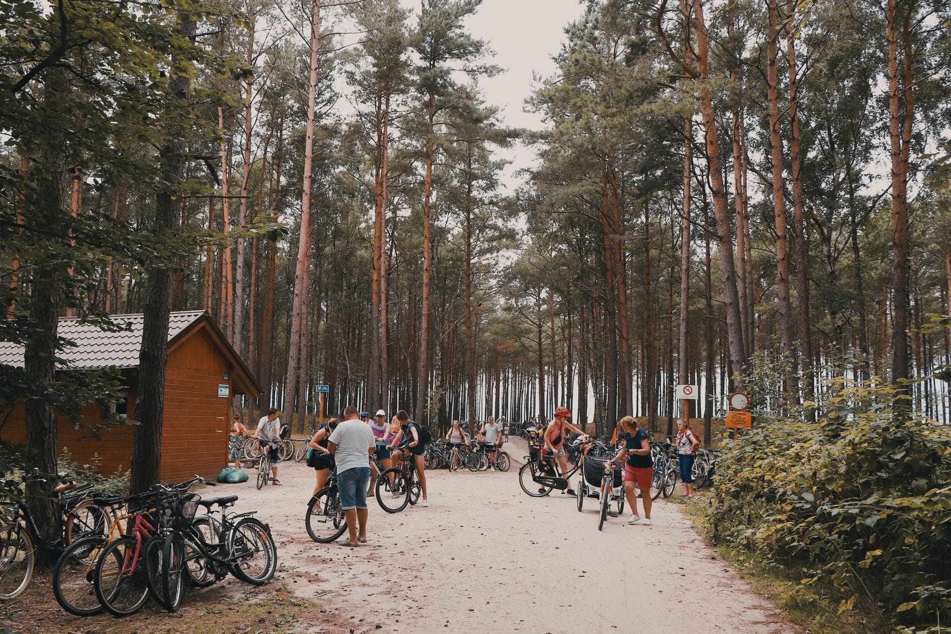 Grupa rowerzystów odpoczywa w spokojnym lesie w okolicach Dziwnowa