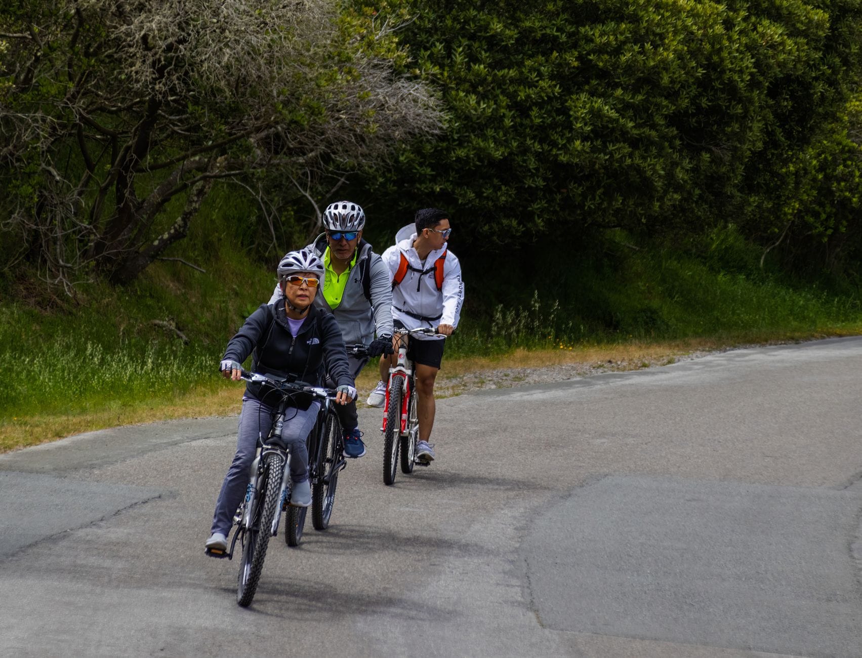 Trójka dorosłych na rowerach jedzie rekreacyjnie leśną szosą